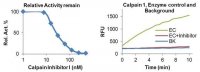 Human Calpain 1 Inhibitor Screening Kit MAK210-1KT
