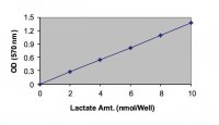 Lactate Assay Kit MAK064-1KT