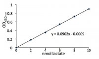 Lactate Assay Kit II MAK065-1KT