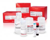LCFC-LCAT Acyltransferase Activity Assay MAK306-1KT