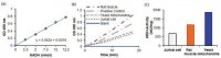 Malate Dehydrogenase Assay Kit MAK196-1KT