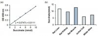 Succinate Colorimetric Assay Kit MAK184-1KT