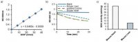 Succinate Dehydrogenase Assay Kit MAK197-1KT