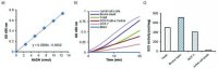 Succinyl-CoA Synthetase Assay Kit MAK217-1KT