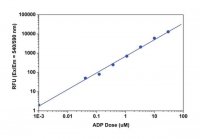 Universal Fluorometric Kinase Assay Kit MAK173-1KT