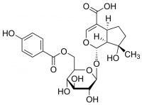 6-(p-Hydroxybenzoyl)mussaenosidic acid SMB00159-1MG