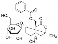 Albiflorin SMB00082-1MG