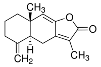 Atractylenolide I 
