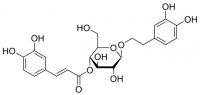 Calceolarioside A SMB00246-1MG