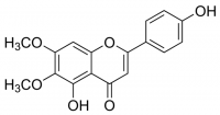 Cirsimaritin SMB00174-1MG