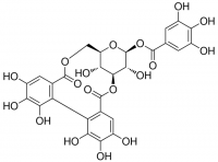 Corilagin 
