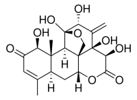 Eurycomanone SMB01073-1MG