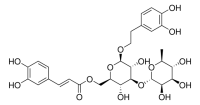 Isoacteoside SMB01011-1MG