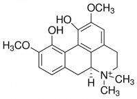 Magnoflorine SMB00377-10MG