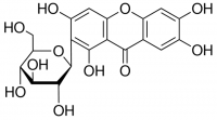 Mangiferin Mangifera indica 