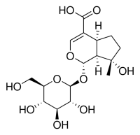 Mussaenosidic acid SMB01012-1MG