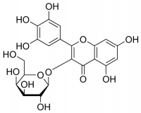 Myricetin 3-O--D-Galactopyranoside SMB00249-1MG