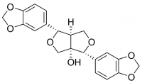 Paulownin SMB00206-1MG
