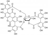Punicalagin 