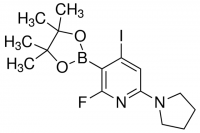2-Fluoro-4-iodo-6-(pyrrolidin-1-yl)-3-(4,4,5,5-tetramethyl-1,3,2-dioxaborolan-2-yl)pyridine ADE000817-1G