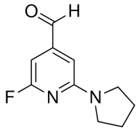 2-Fluoro-6-(pyrrolidin-1-yl)isonicotinaldehyde ADE000105-1G