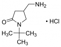 4-(Aminomethyl)-1-tert-butylpyrrolidin-2-one hydrochloride CBR01835-1G