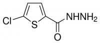 5-Chlorothiophene-2-carboxylic acid hydrazide 678619-1G