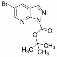 tert-Butyl 5-bromo-1H-pyrazolo[3,4-b]pyridine-1-carboxylate ADE000067-1G