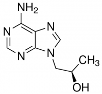 (R)-9-(2-hydroxypropyl)adenine CDS010476-10MG