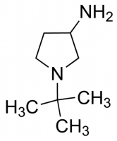 1-tert-Butyl-3-pyrrolidinamine CBR01754-1G
