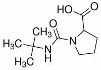 1-[(tert-Butylamino)carbonyl]pyrrolidine-2-carboxylic acid CDS010951-100MG