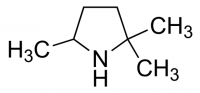2,2,5-Trimethylpyrrolidine CBR01640-1G