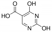 2,4-Dihydroxypyrimidine-5-carboxylic acid 
