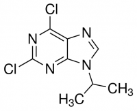 2,6-Dichloro-9-(1-methylethyl)-9H-purine CDS006693-25MG