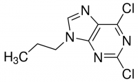 2,6-dichloro-9-propyl-9H-purine CDS017014-50MG