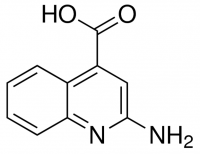 2-Amino-4-quinolinecarboxylic acid CDS001855-25MG