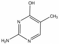 2-Amino-5-methyl-4-pyrimidinol CBR00408-1G