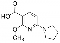 2-Methoxy-6-(pyrrolidin-1-yl)nicotinic acid ADE000828-1G