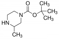 4-N-Boc-2-methyl-piperazine CDS003192-1G