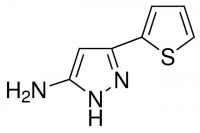 5-Amino-3-(2-thienyl)pyrazole 