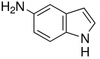 5-Aminoindole 
