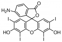 6-Aminoerythrosin 633364-500MG