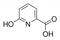 6-Hydroxypyridine-2-carboxylic acid 