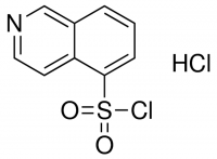 isoquinoline-5-sulfonyl chloride, hydrochloride CDS005153-100MG