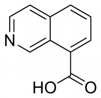 Isoquinoline-8-carboxylic acid CDS019197-250MG