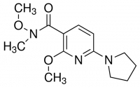 N,2-Dimethoxy-N-methyl-6-(pyrrolidin-1-yl)nicotinamide ADE000100-1G