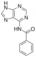 N-(9H-purin-6-yl)benzamide CDS013849-250MG