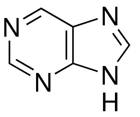 Purine 