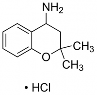 (2,2-Dimethyl-3,4-dihydro-2H-chromen-4-yl)amine hydrochloride CBR01673-1G