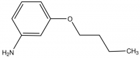 (3-Butoxyphenyl)amine CBR00368-1G